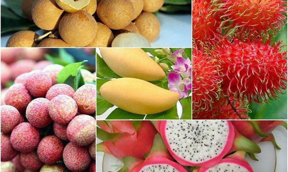 Vietnam’s fruit sector reaches new milestones